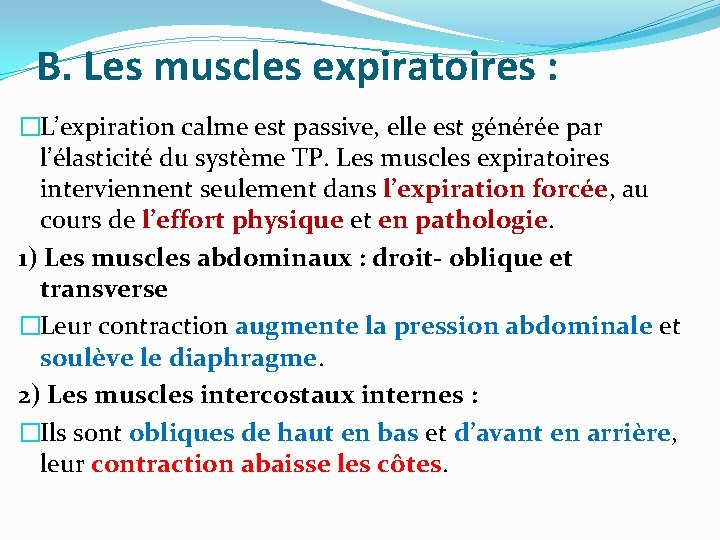 B. Les muscles expiratoires : �L’expiration calme est passive, elle est générée par l’élasticité B. Les muscles expiratoires : �L’expiration calme est passive, elle est générée par l’élasticité