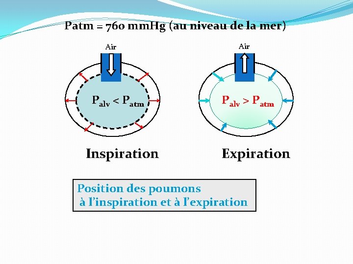 Patm = 760 mm. Hg (au niveau de la mer) Air Palv < Patm Patm = 760 mm. Hg (au niveau de la mer) Air Palv < Patm