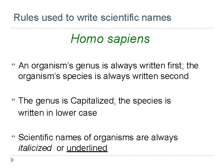 Rules used to write scientific names Homo sapiens An organism’s genus is always written