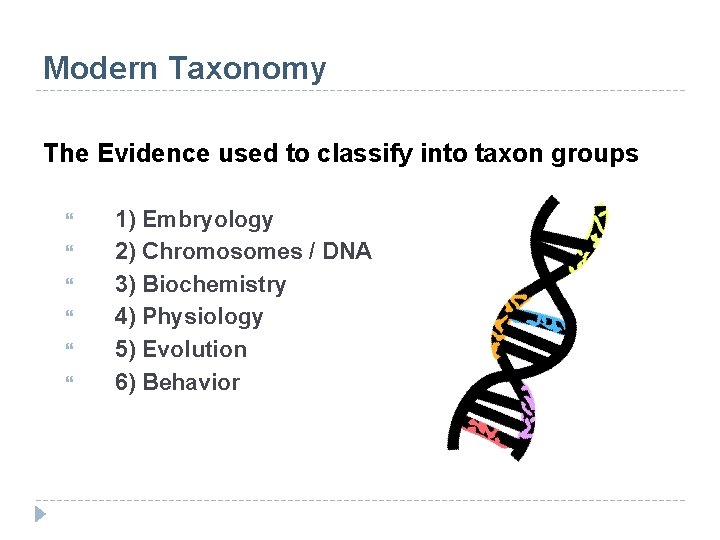 Modern Taxonomy The Evidence used to classify into taxon groups 1) Embryology 2) Chromosomes