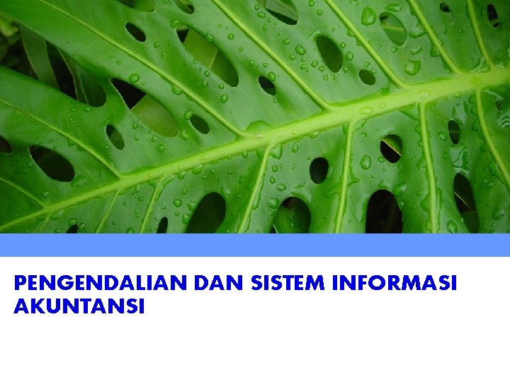 PENGENDALIAN DAN SISTEM INFORMASI AKUNTANSI 