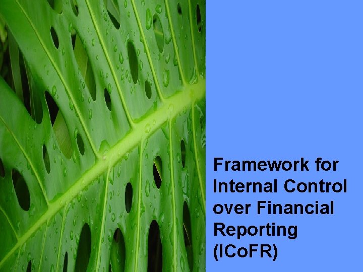 4 Framework for Internal Control over Financial Reporting (ICo. FR) 4 Framework for Internal Control over Financial Reporting (ICo. FR)