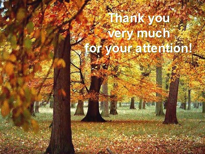 Thank you very much for your attention! Thank you very much for your attention!