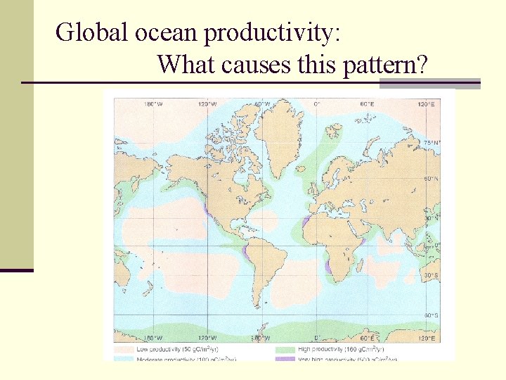 Global ocean productivity: What causes this pattern? 