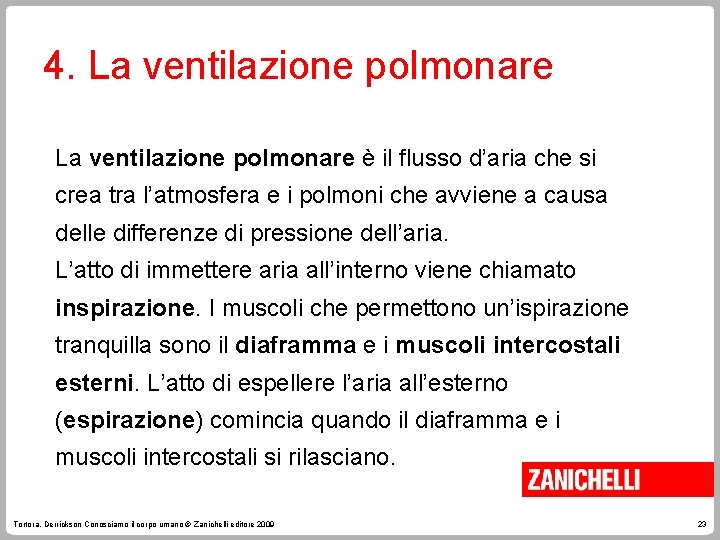 4. La ventilazione polmonare è il flusso d’aria che si crea tra l’atmosfera e