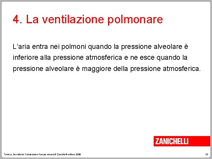 4. La ventilazione polmonare L’aria entra nei polmoni quando la pressione alveolare è inferiore 4. La ventilazione polmonare L’aria entra nei polmoni quando la pressione alveolare è inferiore