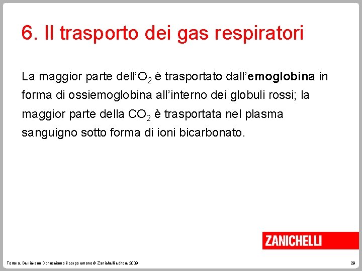 6. Il trasporto dei gas respiratori La maggior parte dell’O 2 è trasportato dall’emoglobina 6. Il trasporto dei gas respiratori La maggior parte dell’O 2 è trasportato dall’emoglobina