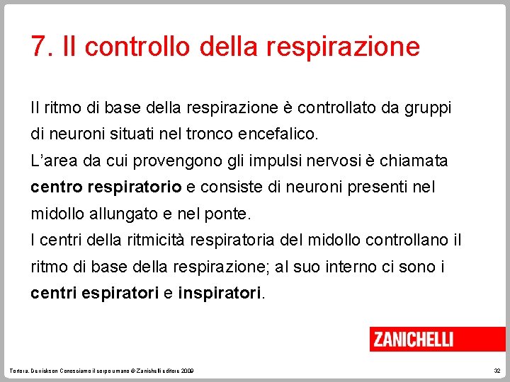 7. Il controllo della respirazione Il ritmo di base della respirazione è controllato da