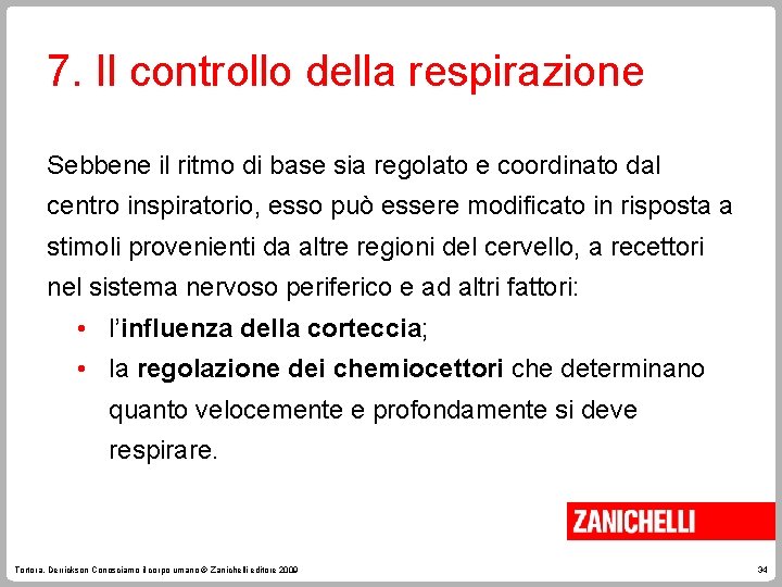 7. Il controllo della respirazione Sebbene il ritmo di base sia regolato e coordinato