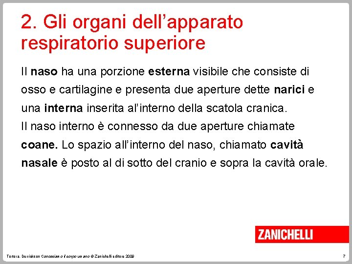 2. Gli organi dell’apparato respiratorio superiore Il naso ha una porzione esterna visibile che