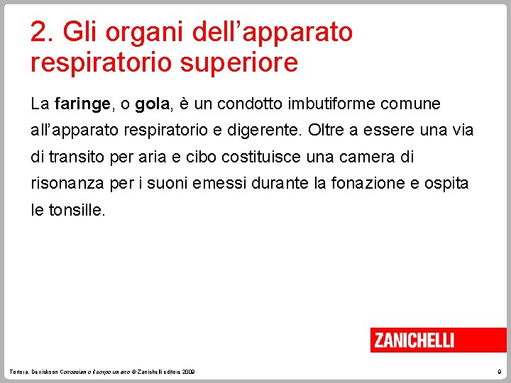 2. Gli organi dell’apparato respiratorio superiore La faringe, o gola, è un condotto imbutiforme