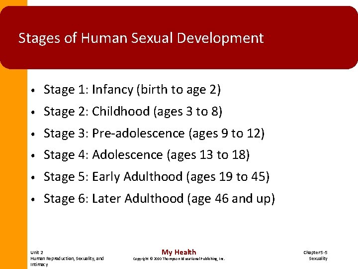 Stages of Human Sexual Development • Stage 1: Infancy (birth to age 2) • Stages of Human Sexual Development • Stage 1: Infancy (birth to age 2) •