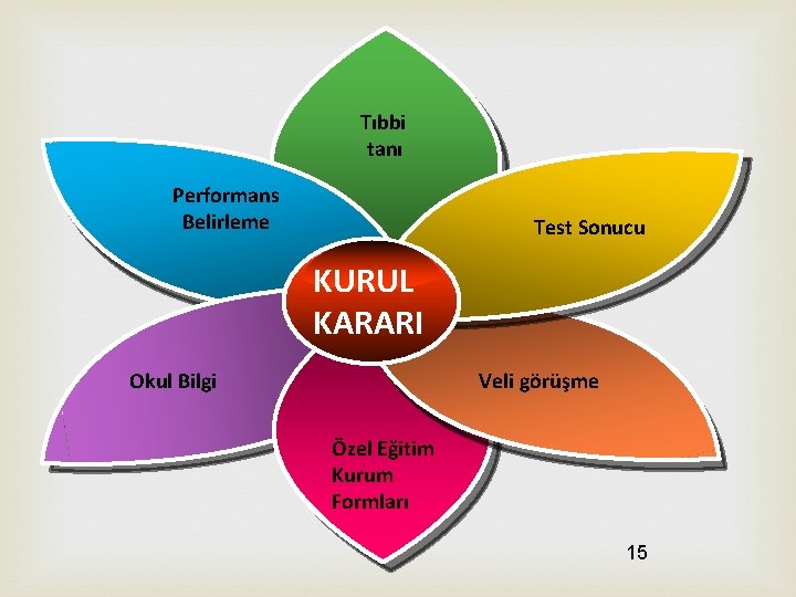 Tıbbi tanı Performans Belirleme Test Sonucu KURUL KARARI Okul Bilgi Veli görüşme Özel Eğitim