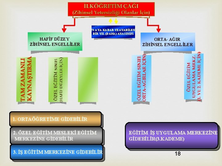 78 AYA KADAR UZAYABİLEN BİR YIL (DAHA) ANASINIFI HAFİF DÜZEY ZİHİNSEL ENGELLİLER ORTA- AĞIR