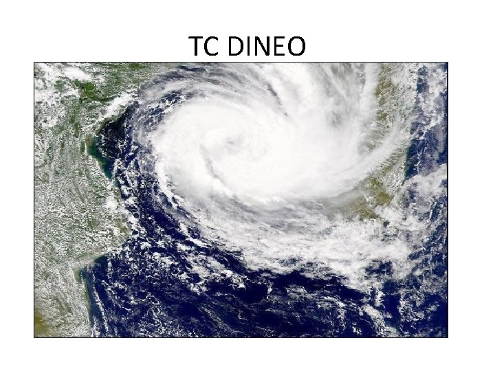 TC DINEO TC DINEO