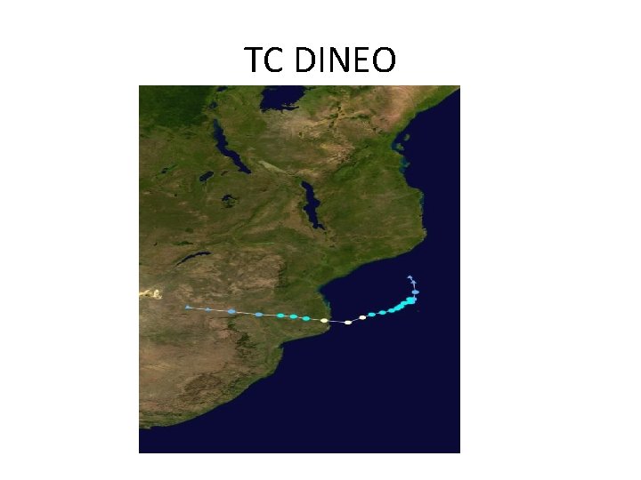 TC DINEO TC DINEO
