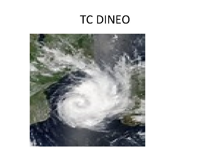 TC DINEO TC DINEO