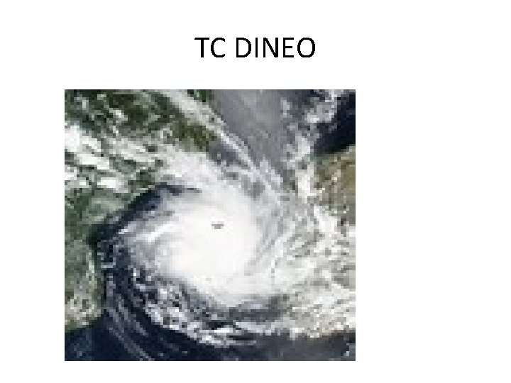 TC DINEO TC DINEO