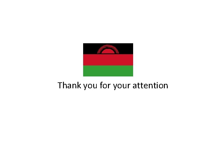Thank you for your attention Thank you for your attention