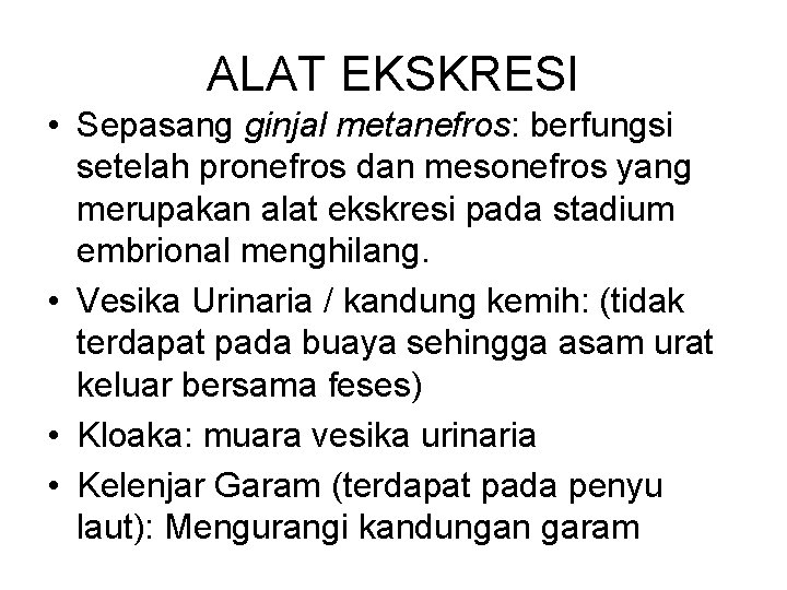 ALAT EKSKRESI • Sepasang ginjal metanefros: berfungsi setelah pronefros dan mesonefros yang merupakan alat