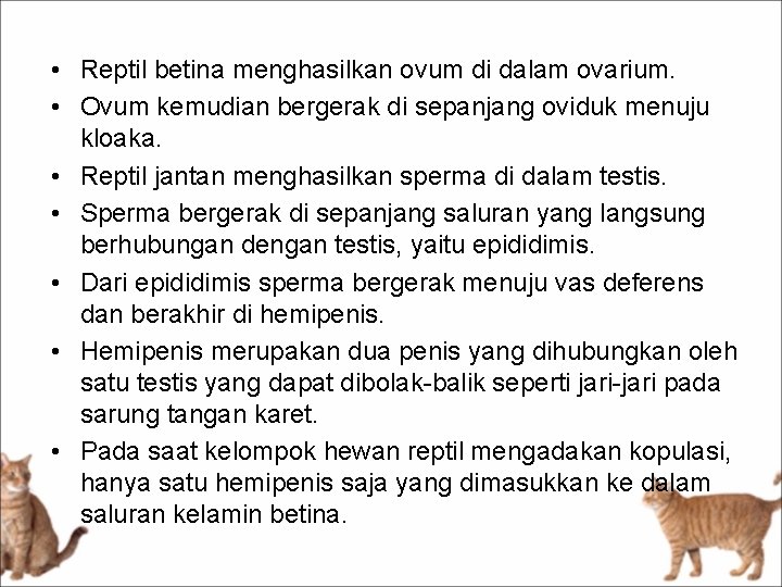  • Reptil betina menghasilkan ovum di dalam ovarium. • Ovum kemudian bergerak di