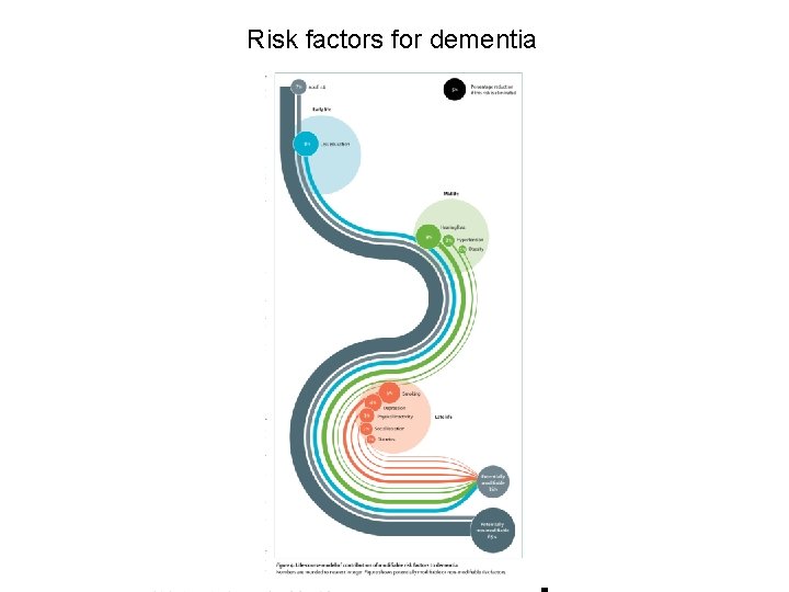 Risk factors for dementia 