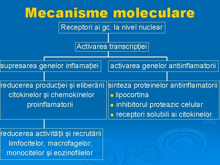 Mecanisme moleculare Receptori ai gc. la nivel nuclear Activarea transcripţiei supresarea genelor inflamaţiei activarea