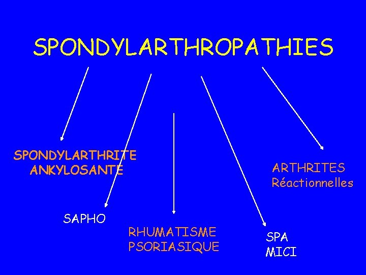 SPONDYLARTHROPATHIES SPONDYLARTHRITE ANKYLOSANTE SAPHO RHUMATISME PSORIASIQUE ARTHRITES Réactionnelles SPA MICI 