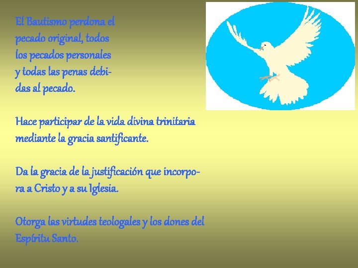 El Bautismo perdona el pecado original, todos los pecados personales y todas las penas