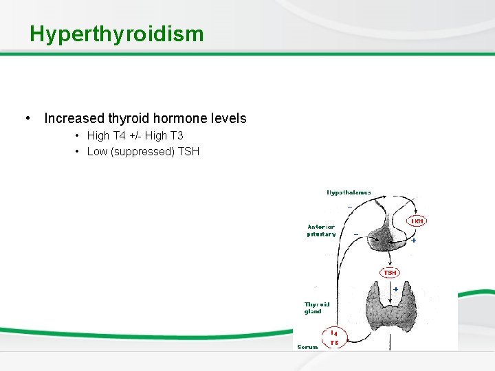 Hyperthyroidism • Increased thyroid hormone levels • High T 4 +/- High T 3
