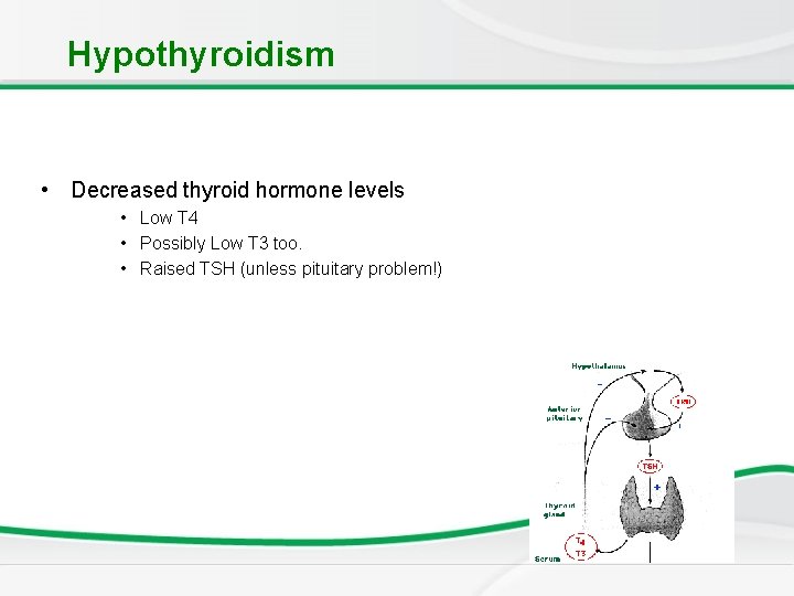 Hypothyroidism • Decreased thyroid hormone levels • Low T 4 • Possibly Low T