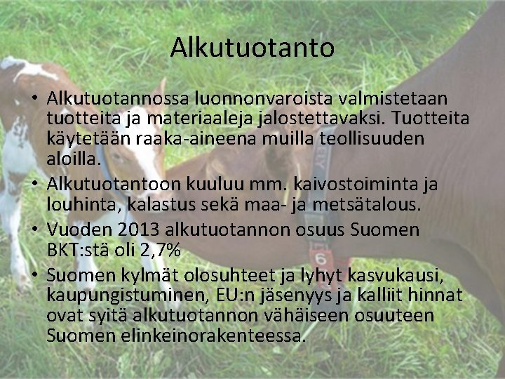 Alkutuotanto • Alkutuotannossa luonnonvaroista valmistetaan tuotteita ja materiaaleja jalostettavaksi. Tuotteita käytetään raaka-aineena muilla teollisuuden