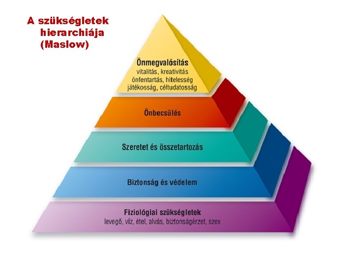 A szükségletek hierarchiája (Maslow) 