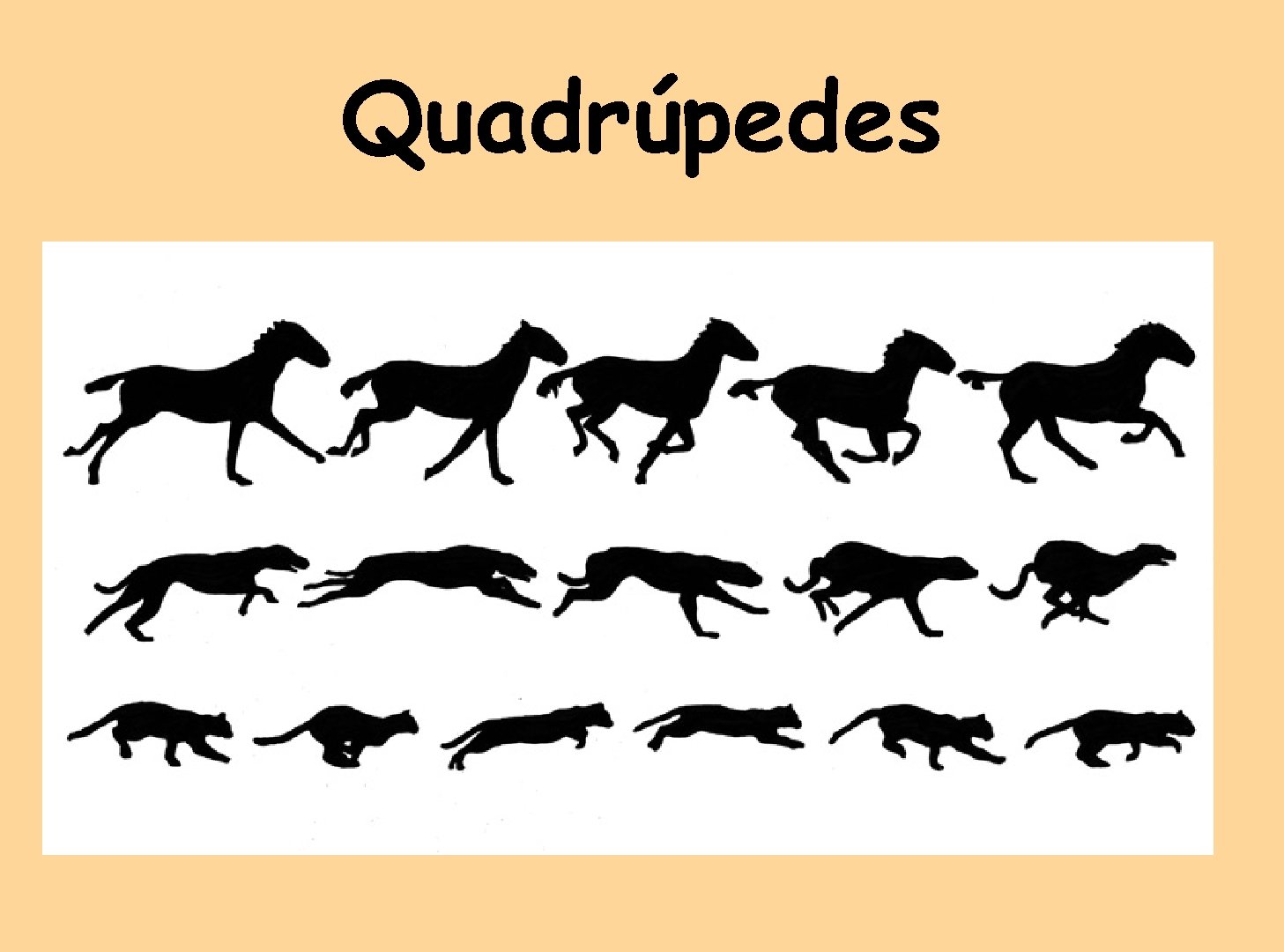 Quadrúpedes 