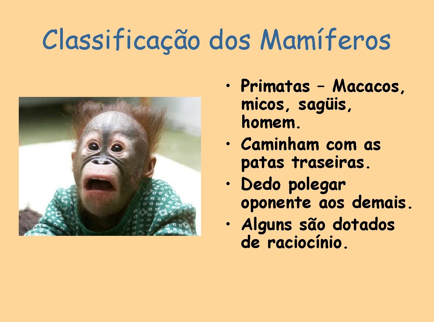 Classificação dos Mamíferos • Primatas – Macacos, micos, sagüis, homem. • Caminham com as