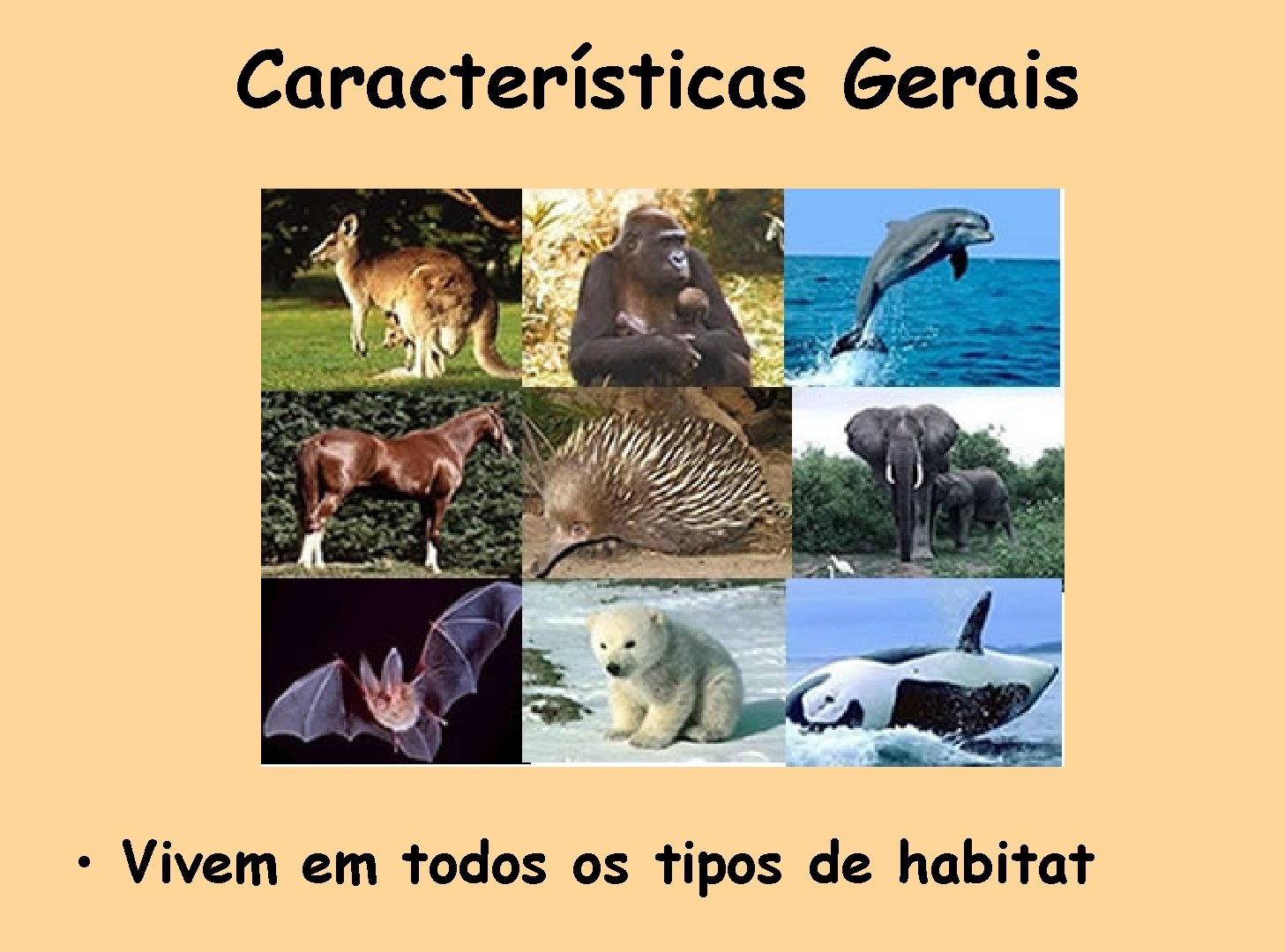 Características Gerais • Vivem em todos os tipos de habitat 