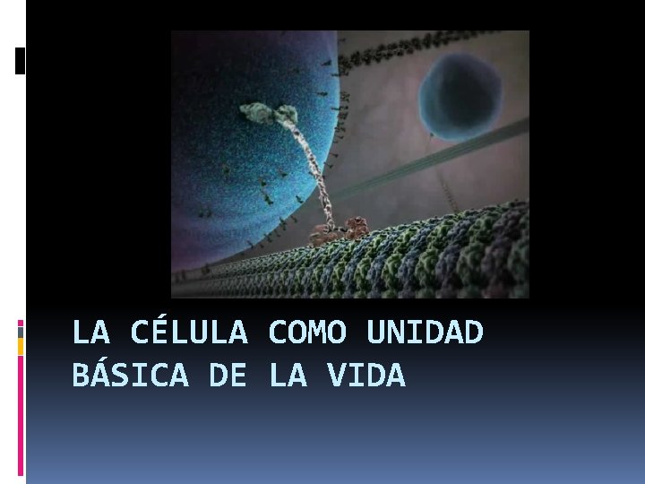 LA CÉLULA COMO UNIDAD BÁSICA DE LA VIDA 