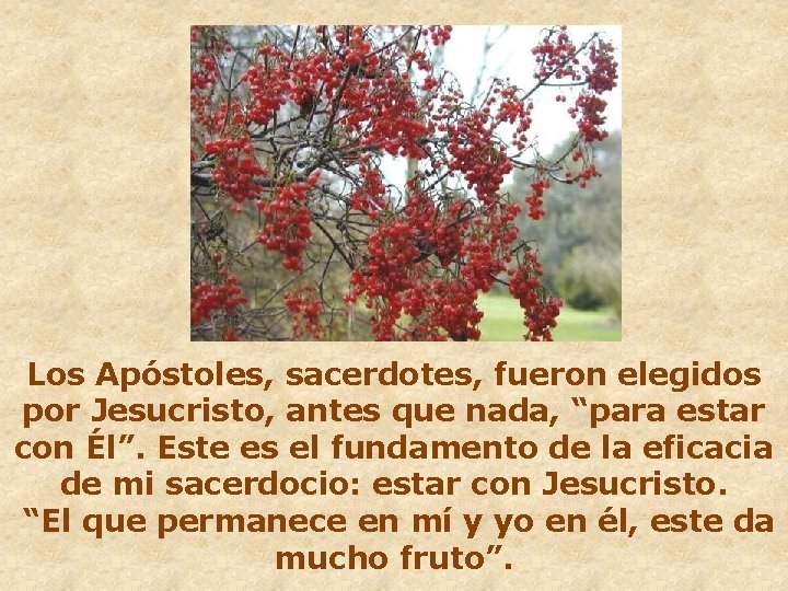 Los Apóstoles, sacerdotes, fueron elegidos por Jesucristo, antes que nada, “para estar con Él”.