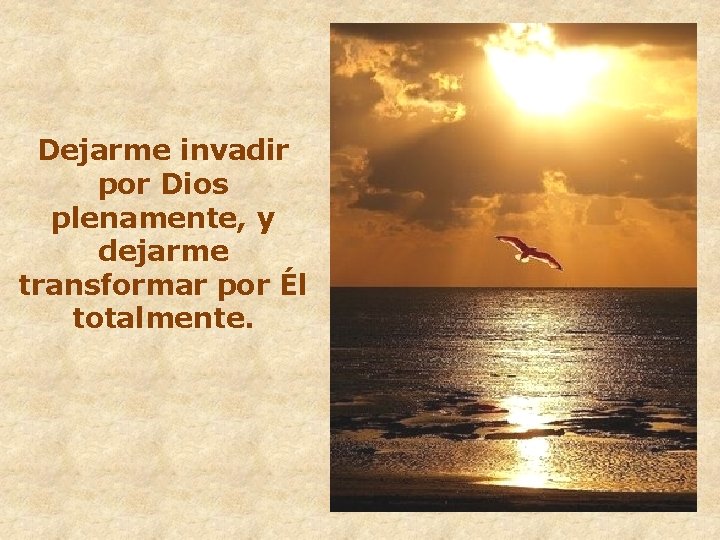 Dejarme invadir por Dios plenamente, y dejarme transformar por Él totalmente. 