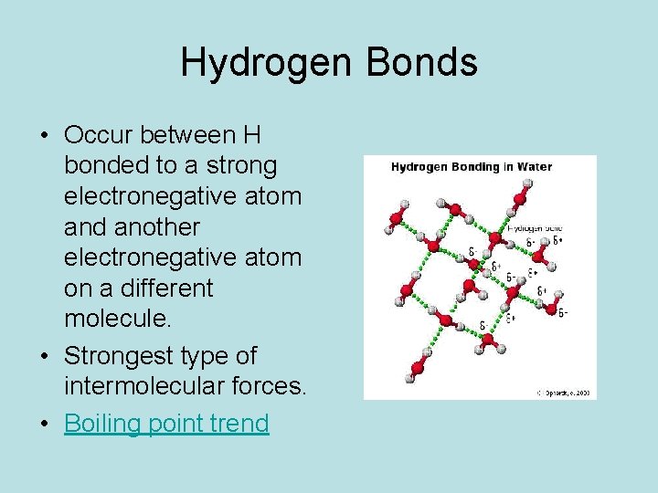 Hydrogen Bonds • Occur between H bonded to a strong electronegative atom and another