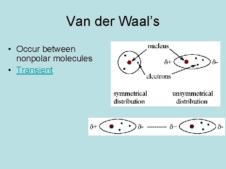 Van der Waal’s • Occur between nonpolar molecules • Transient 