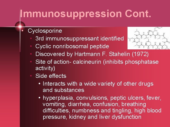 Immunosuppression Cont. • Cyclosporine • 3 rd immunosuppressant identified • Cyclic nonribosomal peptide •