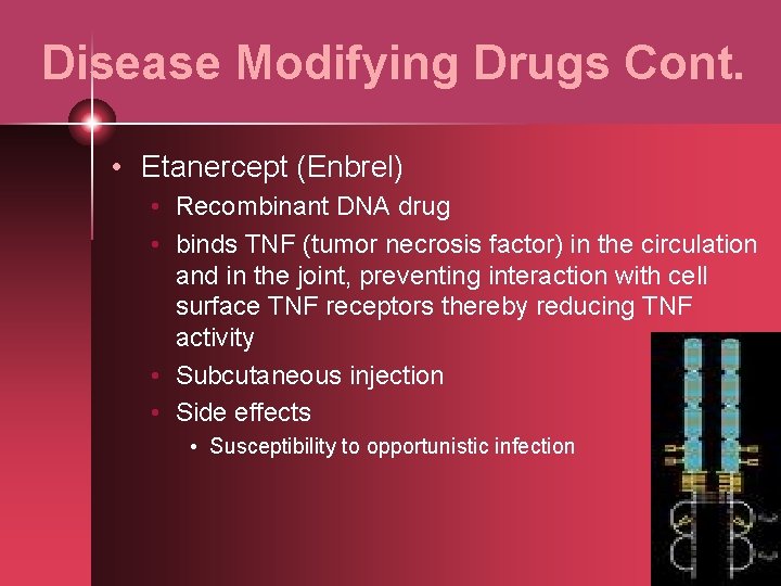 Disease Modifying Drugs Cont. • Etanercept (Enbrel) • Recombinant DNA drug • binds TNF