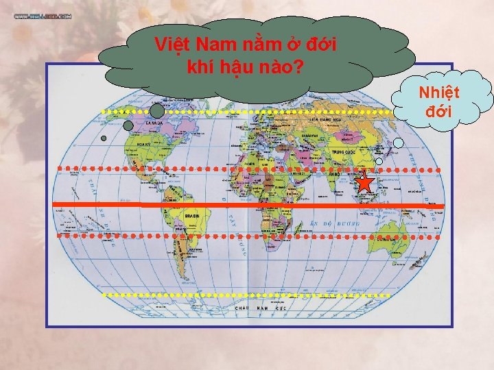 Việt Nam nằm ở đới khí hậu nào? Nhiệt đới 