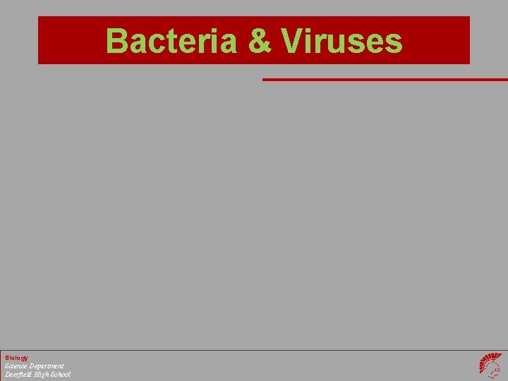 Bacteria & Viruses Biology Science Department Deerfield High School 