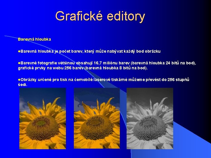 Grafické editory Barevná hloubka l. Barevná hloubka je počet barev, který může nabývat každý