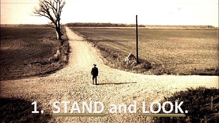 1. STAND and LOOK. 