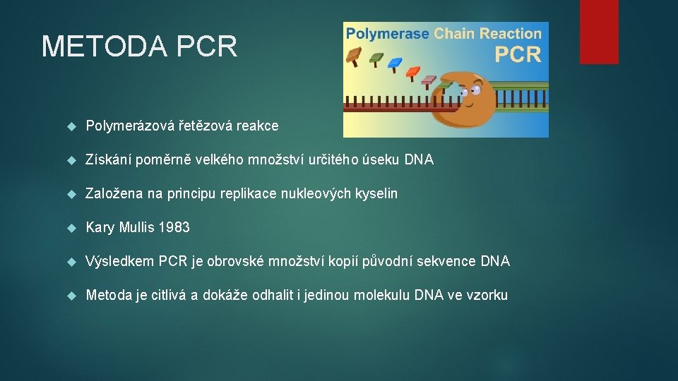 METODA PCR Polymerázová řetězová reakce Získání poměrně velkého množství určitého úseku DNA Založena na METODA PCR Polymerázová řetězová reakce Získání poměrně velkého množství určitého úseku DNA Založena na