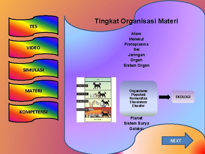 TES VIDEO SIMULASI MATERI KOMPETENSI Tingkat Organisasi Materi Atom Molekul Protoplasma Sel Jaringan Organ