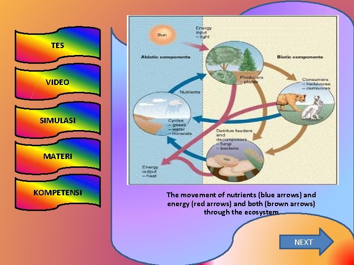 TES VIDEO SIMULASI MATERI KOMPETENSI The movement of nutrients (blue arrows) and energy (red